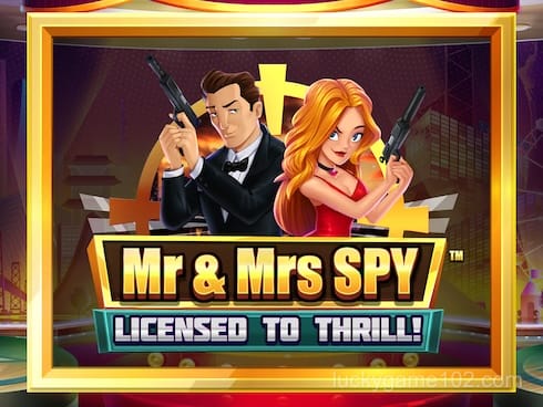 Mr and Mrs Spy