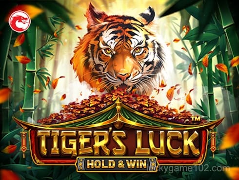 Tiger's Luck - Hold and Win
